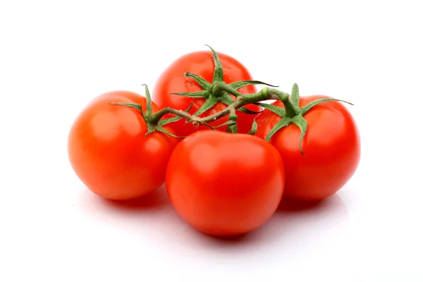 토마토 — 스톡 사진