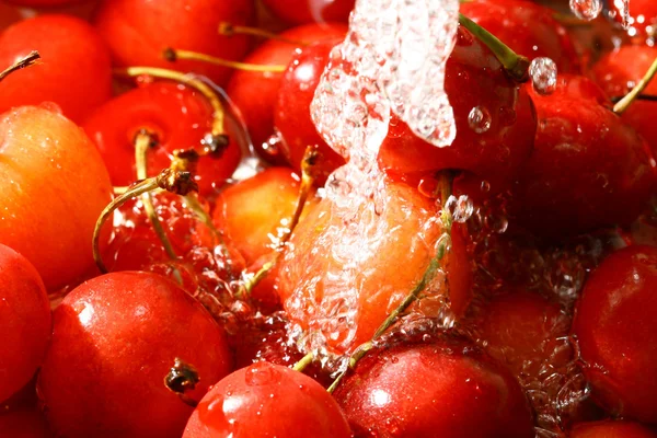 Sweet cherry under våta — Stockfoto