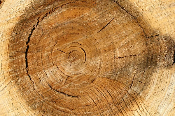 Holz stapeln — Stockfoto