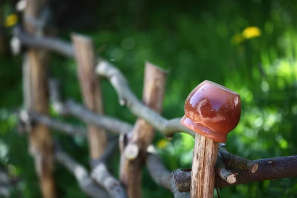 Vaso su recinzione in legno — Foto Stock