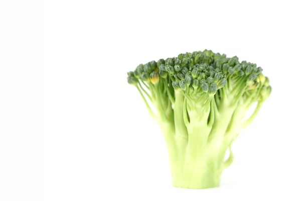Brócolis sobre branco — Fotografia de Stock