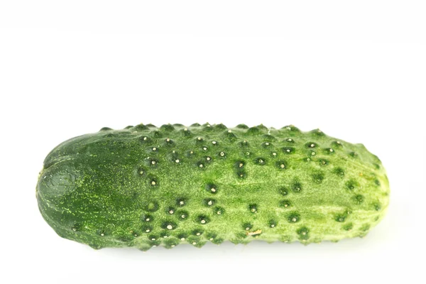 Egy uborka — Stock Fotó