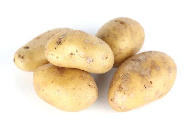 Stock image Potato