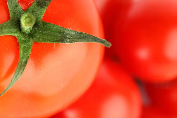 Tomato background — Stock Photo, Image