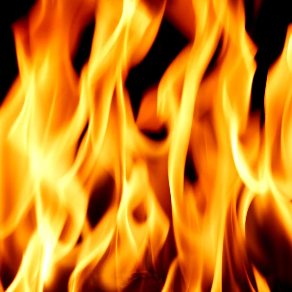 Eld flamma på nära håll — Stockfoto