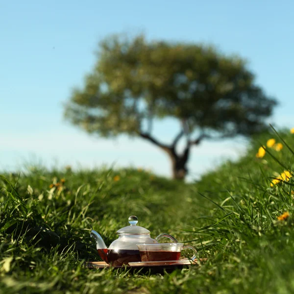 Natural tea — Stock Photo, Image