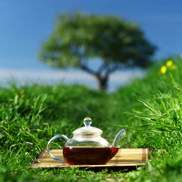 stock image Natural tea