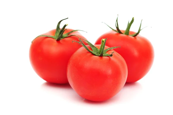 Tomato pile — стоковое фото