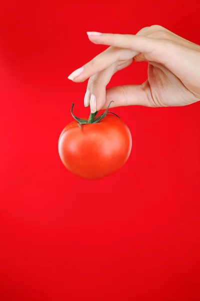 Tomate dans les mains de la femme — Photo