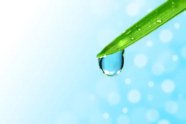 stock image Big water drop