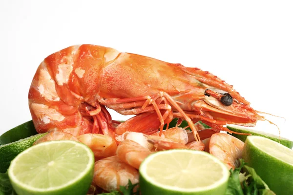 Shrimp background — Stock Photo, Image