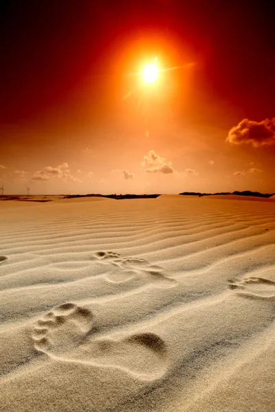 사막 발자국 — 스톡 사진