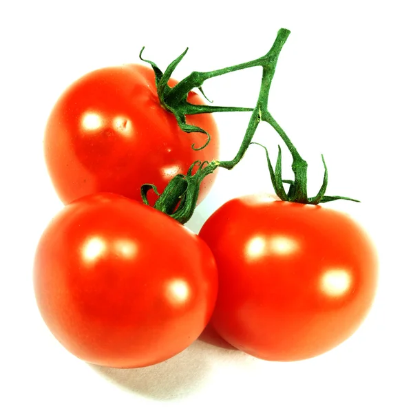 Isolerade tomat — Stockfoto