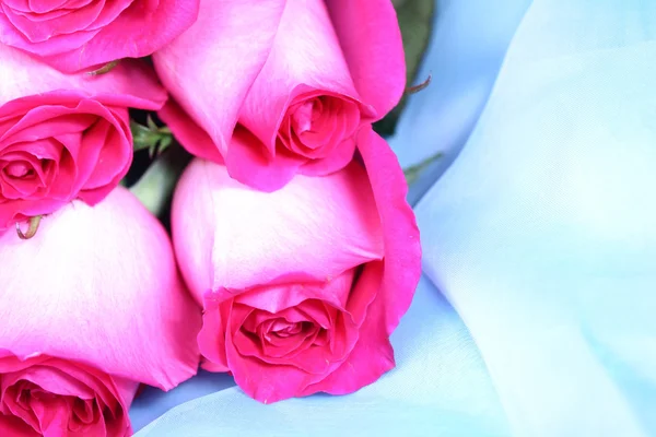 Рожеві троянди — стокове фото
