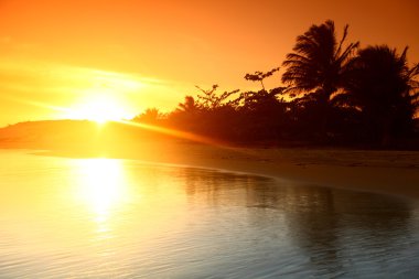 Tropical sunset clipart