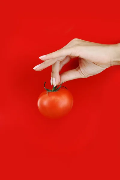 Tomate in Frauenhand — Stockfoto