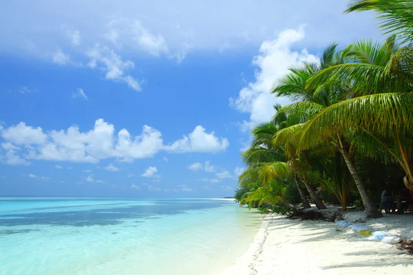 Tropisch eiland — Stockfoto