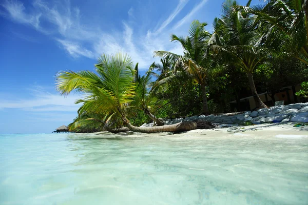 Trópusi sziget — Stock Fotó