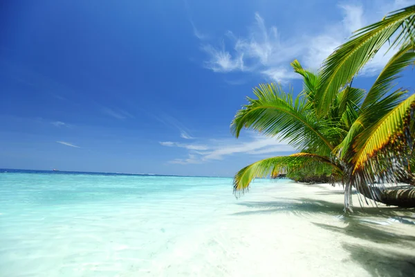 Tropical island Stock Picture