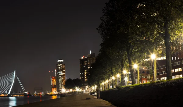 Rotterdam vista de noche —  Fotos de Stock