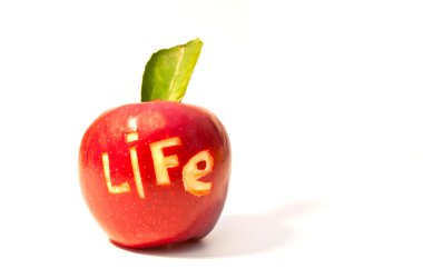 Word of life cut out on a red apple clipart