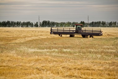 Combine harvester in a wheat field clipart