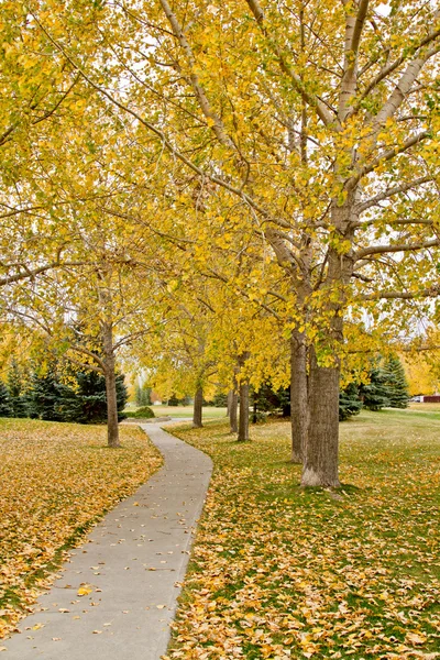 Autumn in Regina — Stock Photo, Image