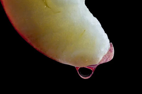 Gota de água em uma fatia de maçã — Fotografia de Stock