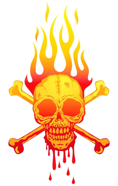 Skull in flames — Stock Vector