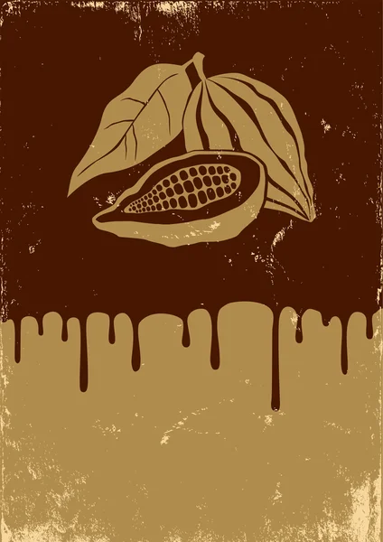 Illustration von Kakao und Schokolade — Stockvektor