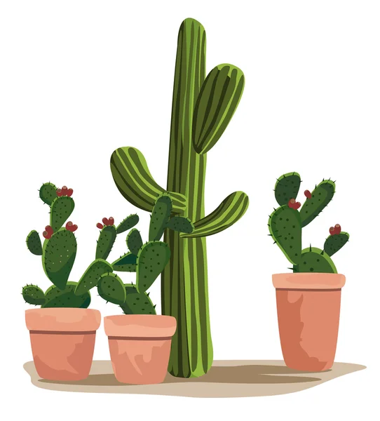 Cactus — Vettoriale Stock