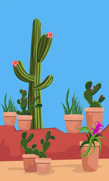 Kaktus — Stockový vektor