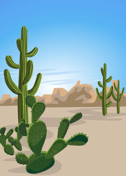 Cactus and Desert — Stock Vector