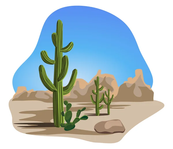 Cactus en woestijn — Stockvector