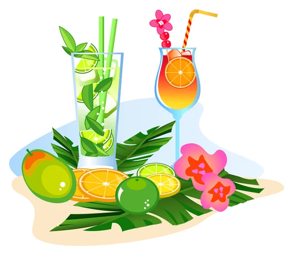 Cocktails and Fruits — Stock Vector