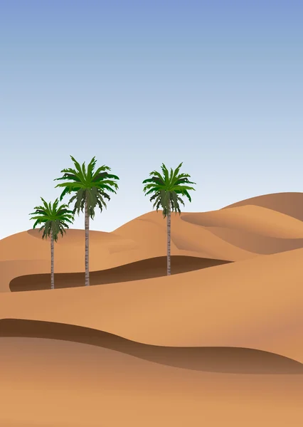 Sahara — Vettoriale Stock