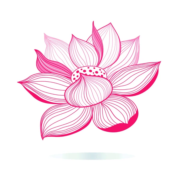 Grafické Růžový lotos — Stockový vektor