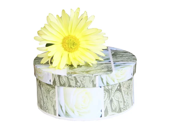 Кругла коробка з подарунком і жовта квітка на білому тлі — стокове фото