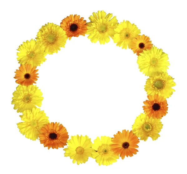 흰색 뒷면에 노란색과 오렌지 꽃에서 라운드 프레임 워크 — 스톡 사진