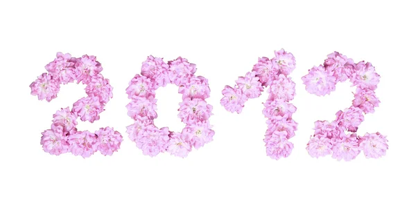 2012 ano novo de rosas rosa em um fundo branco — Fotografia de Stock