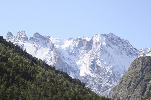Hautes montagnes de neige et bois de pin — Photo