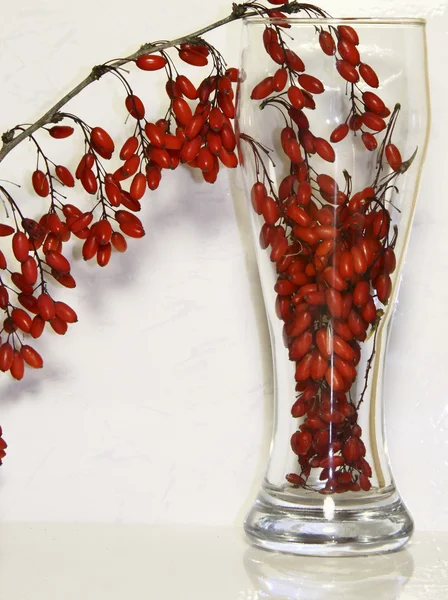 Un ramo di un crespino e un bicchiere con bacche su uno sfondo bianco — Foto Stock
