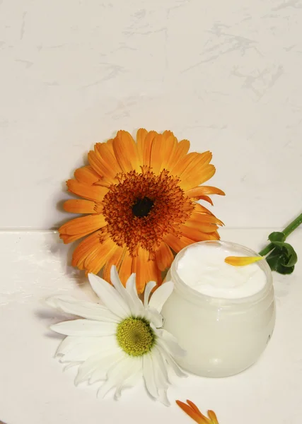 stock image A face cream with a flower of a calendula and a camomile