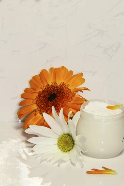 stock image A face cream with a flower of a calendula and a camomile