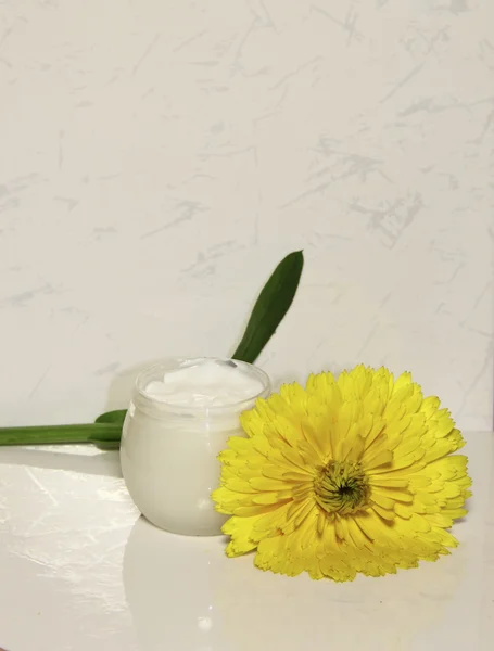 Una crema per il viso con un fiore di un calendula — Foto Stock