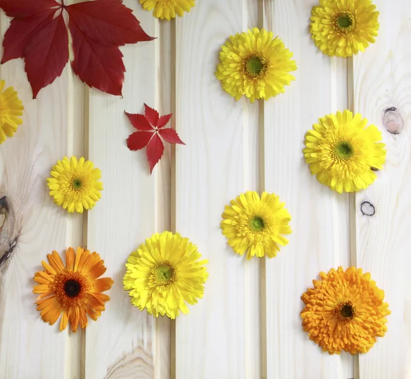 Uma parede de madeira decorada com flores amarelas e folhas vermelhas — Fotografia de Stock