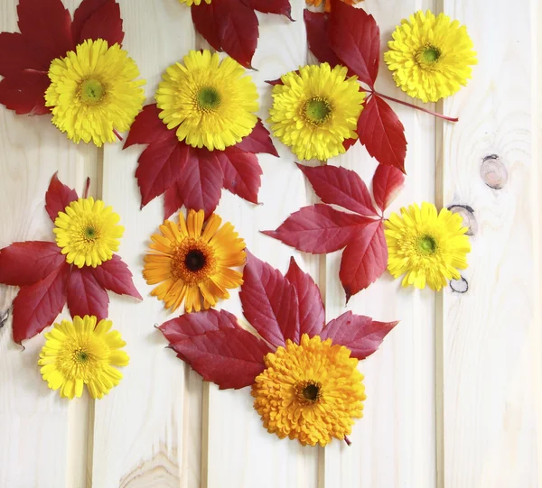 Дерев'яна стіна, прикрашена жовтими квітами і червоним листям — стокове фото