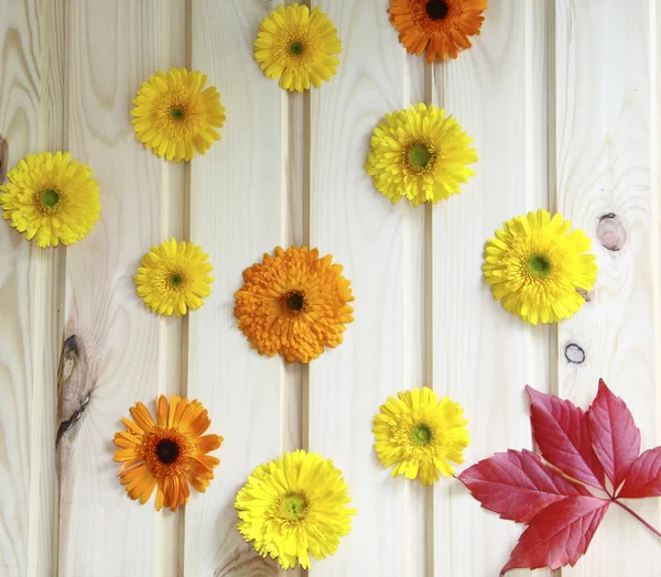 Drewniane ściany zdobią żółte kwiaty i czerwone liście — Zdjęcie stockowe