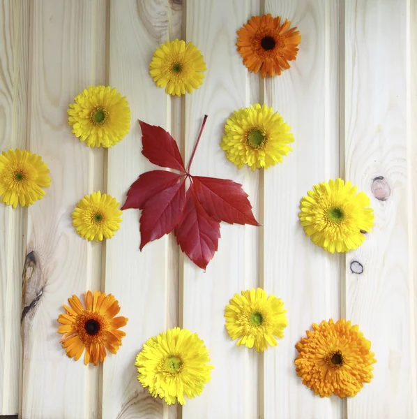Een houten muur versierd met gele bloemen en rode bladeren — Stockfoto