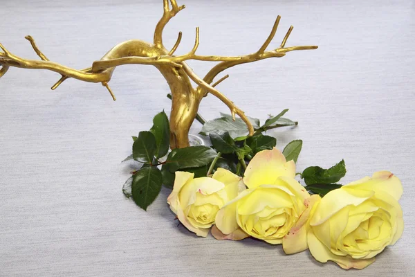 黄金树和灰色的背景上的黄玫瑰 — 图库照片